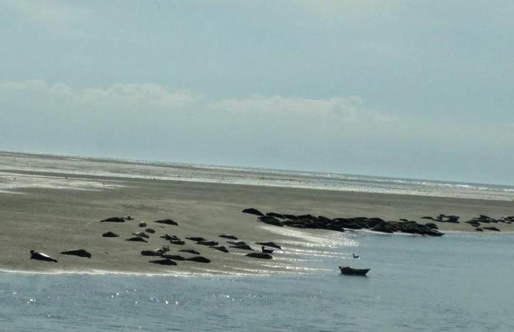 Relais Vacances A La Mer 2 Berck المظهر الخارجي الصورة